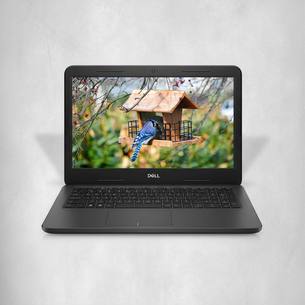 Dell Latitude 3300 | Intel Core i3 | 256GB SSD | Windows 11 + Office Pakket